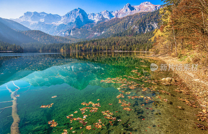 秋天的Tovel湖，Val di Non内的阿达梅洛-布伦塔自然公园，特伦蒂诺阿尔托-阿迪杰，意大利。